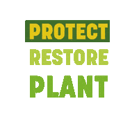 JaneGoodallInst climatecrisis planetearth lovenature reforestation Sticker