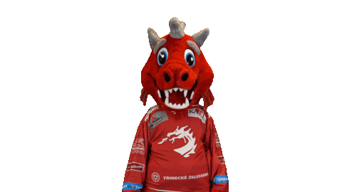 I Dont See Ice Hockey Sticker by HC Oceláři Třinec