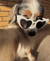 Amigos Podemos GIF by Murcianys LLC