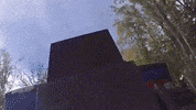 GIF by Nitro Circus