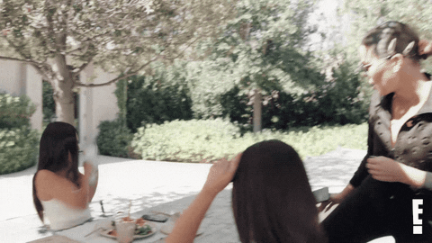 Keeping Up With The Kardashians Bee GIF by E!