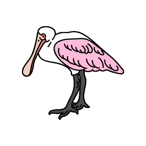 Mata Atlantica Ave Sticker by Parque das Aves