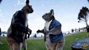 Kk GIF