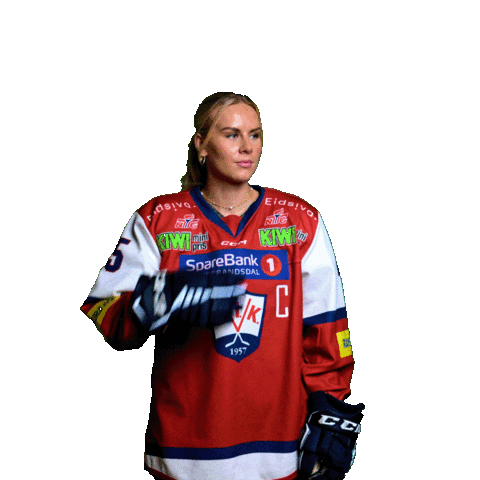 Icehockey Sticker by Lillehammer Ishockeyklubb