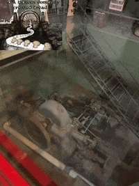 GIF by Alex Boya