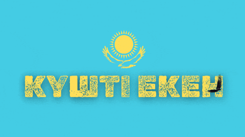 giphygifmaker giphyattribution sarauenkushti altynbekkushti GIF
