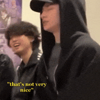 Skz Straykids GIF