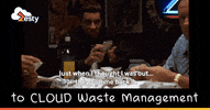 zestyco  GIF
