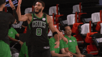 Nba Playoffs Fun GIF by NBA