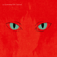 Angry Kill You GIF by La Guarimba Film Festival