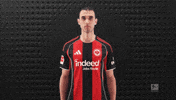 Eintracht Frankfurt Football GIF by Bundesliga
