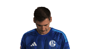 Look Up Schalke 04 Sticker by Bundesliga