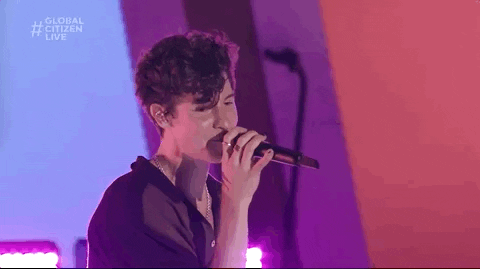 Shawn Mendes GIF by Global Citizen