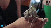 Fun Shake On It GIF by Bournemouth University