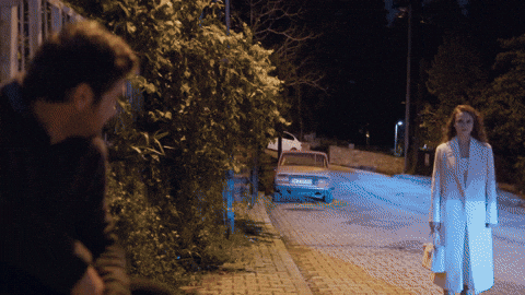 Show GIF by Ay Yapım