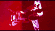 link wray rock GIF by Kino Lorber