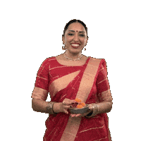 Festival Celebrate Sticker by trichak