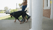 Happy National Geographic GIF by Nat Geo Wild