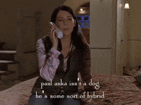 season 6 netflix GIF by Gilmore Girls 