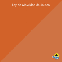 sabias que GIF by traficozmg