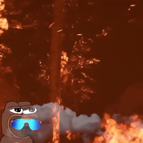 Pepe The Frog Fire GIF by Bobo Memes