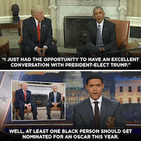 GIF by The Daily Show with Trevor Noah