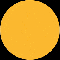 zucarga usa venezuela houston dallas GIF