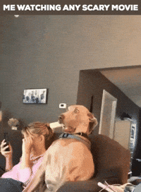 Scary Movie The Horror GIF by Justin