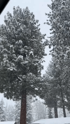 Storm Brings Thick Snow to California's Lake Tahoe Region