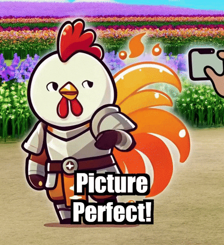 Picture Perfect Photography GIF by Zorooster