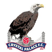 Premier League Sport Sticker by CPFC