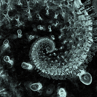 Sick Virus GIF by Feliks Tomasz Konczakowski