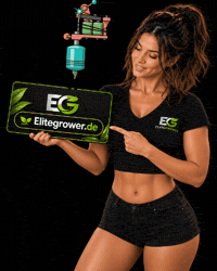 Tattoo Artist GIF by EliteGrower