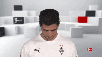 Happy Line Up GIF by Bundesliga