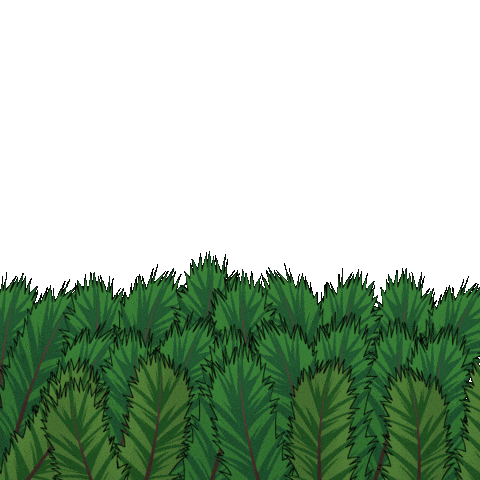 Hide And Seek Hello Sticker by Pudgy Penguins