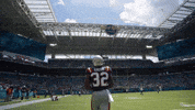 Football Nfl GIF by New England Patriots