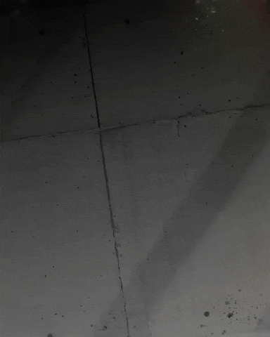 Vasco Da Gama GIF