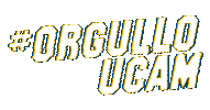Deporte Orgulloucam Sticker by UCAM Universidad