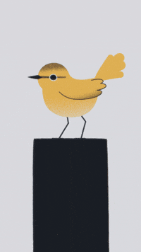 Poule GIF