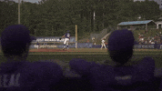 Baton Rouge Baseball GIF by LSU Tigers