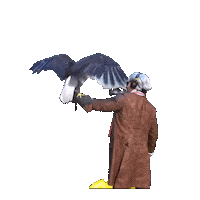 July 4 Bird Sticker