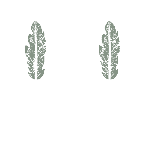 throughchristinaseyes giphyupload nature trees christina Sticker