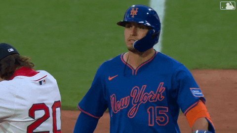Baseball Mlb GIF by New York Mets