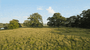 Bbc Ni GIF by Stellify Media