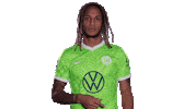 In Love Hearts Sticker by VfL Wolfsburg