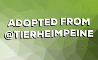 tierheimpeine adopted tierschutz peine tierheim GIF
