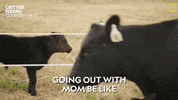 Baby Reaction GIF by Nat Geo Wild