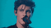 shawn mendes GIF by AMAs