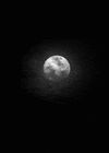 Full Moon Love GIF