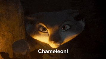 Chameleon!